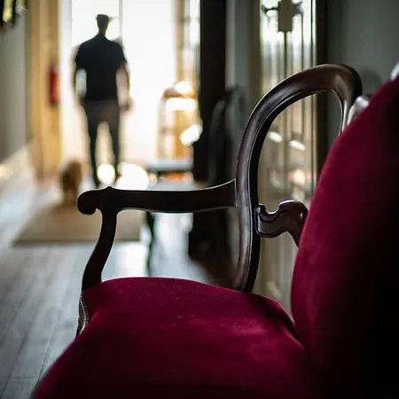 Quinta Penas Cerveira Villa